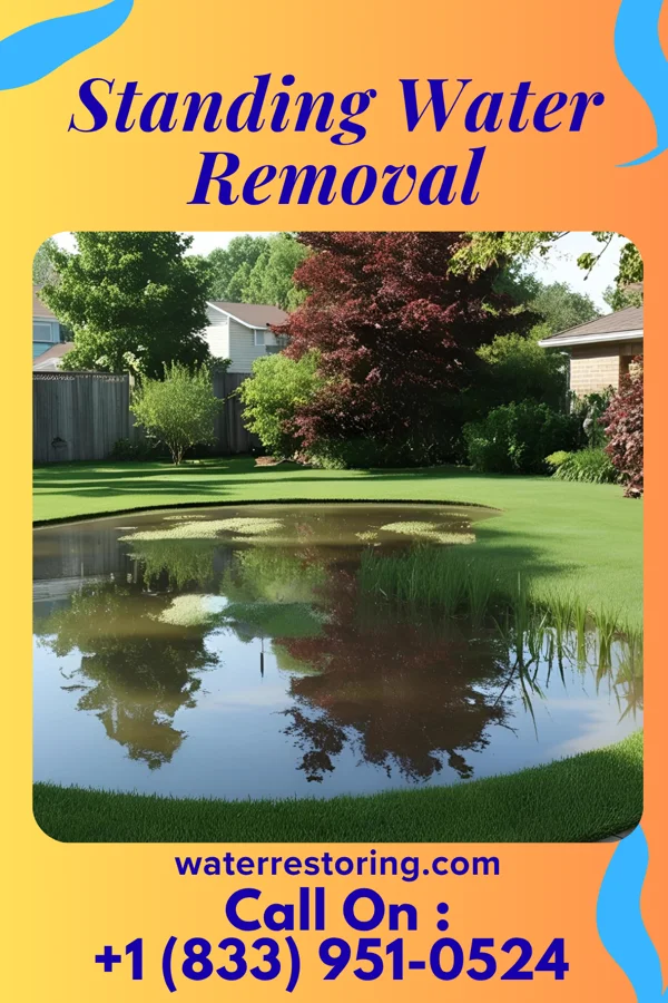 Standing Water Removal in Ariton, AL
